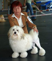 IGOR IVO Damaro