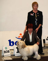 IGOR IVO Damaro