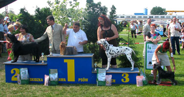 Sasquehanna XANTI